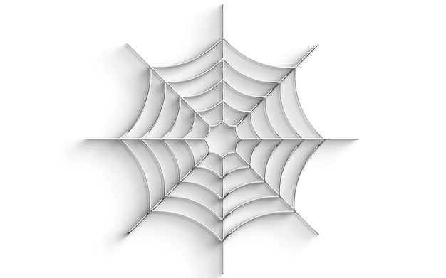La red de araña aislada sobre un fondo blanco