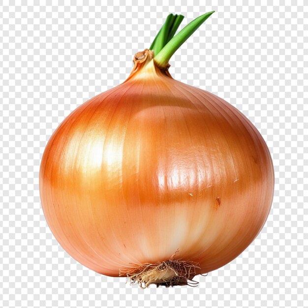 PSD red onion png isoliert auf transparentem hintergrund premium psd