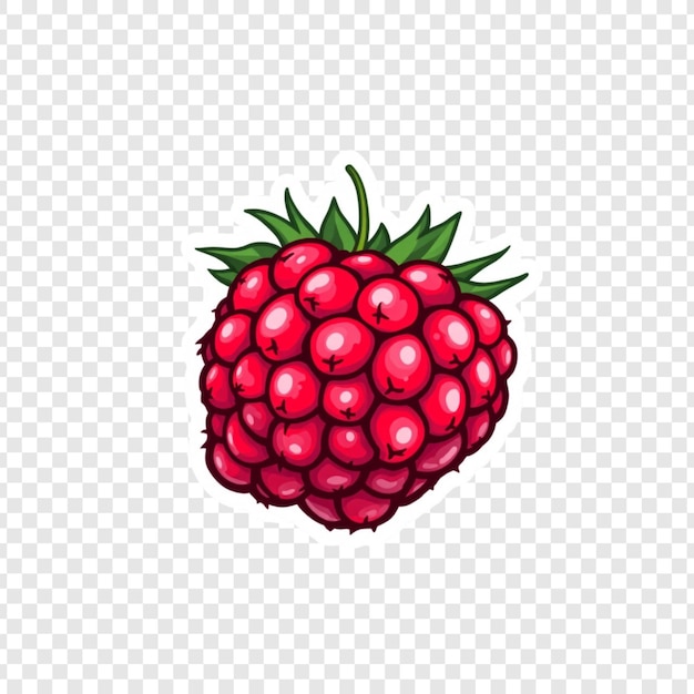 Red Raspberry Fruit Sticker köstliche Sommerbeeren süßer Geschmack