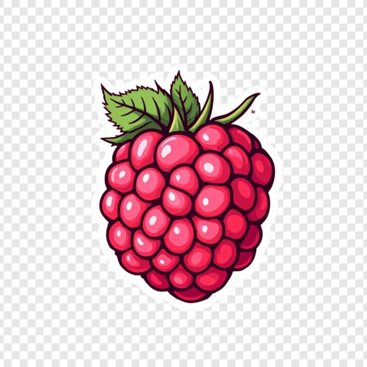 PSD red raspberry fruit sticker köstliche sommerbeeren süßer geschmack