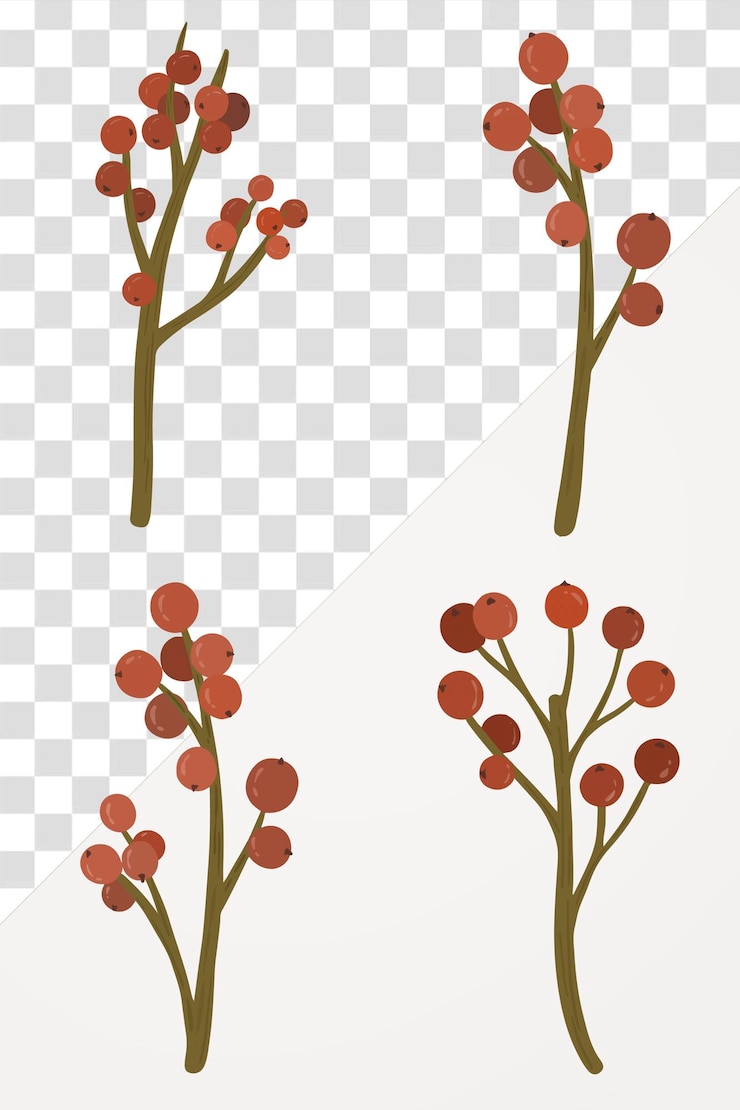 PSD red winterberry ornament sammlung durchsichtig png