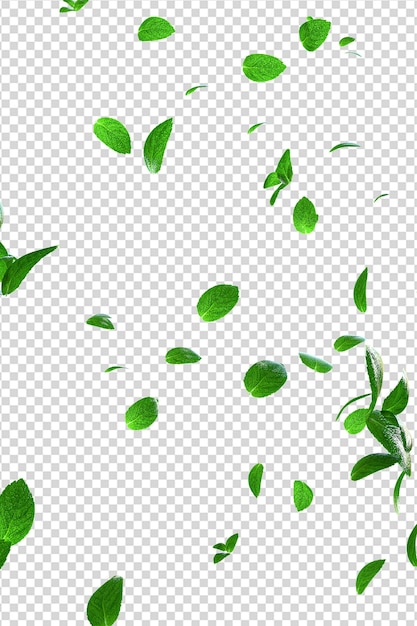 Refrescante copertura di foglie di menta volanti