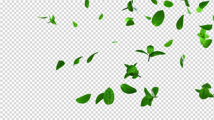 PSD refrescante cubierta de hojas de menta voladoras