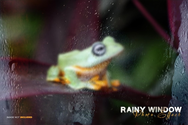 Regentag, der Fotoeffekt der Regenzeit