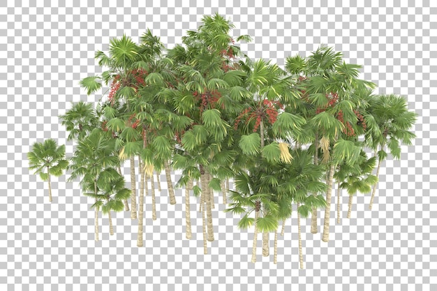 Regenwald auf transparentem Hintergrund. 3D-Rendering - Abbildung