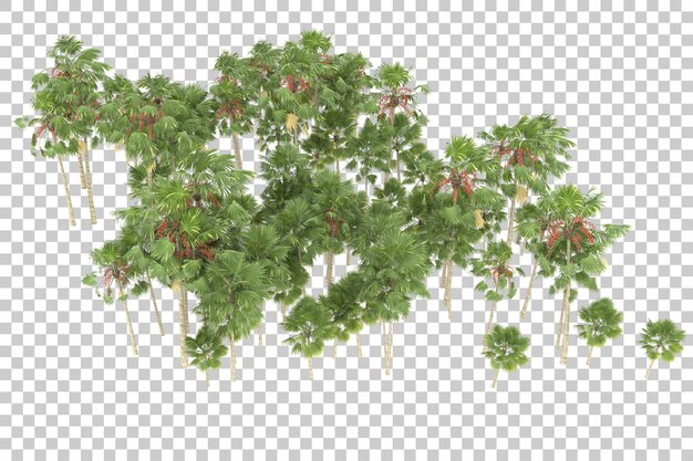 Regenwald auf transparentem Hintergrund. 3D-Rendering - Abbildung