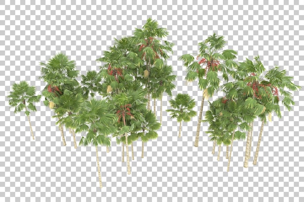 Regenwald auf transparentem Hintergrund. 3D-Rendering - Abbildung