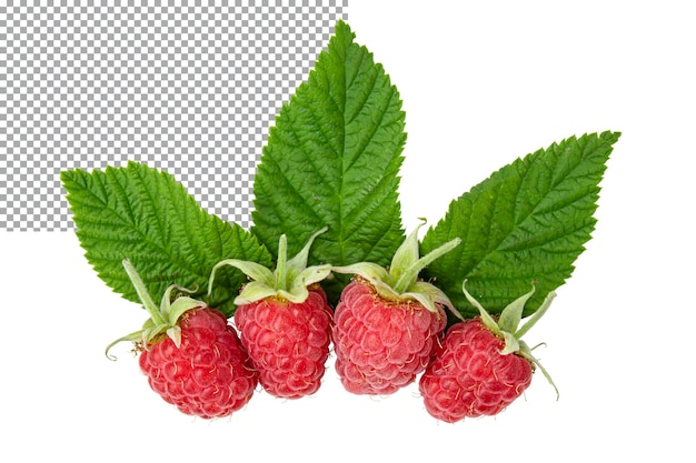 PSD reife himbeeren mit isolierten blättern auf transparentem hintergrund