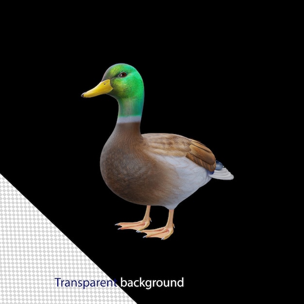 PSD render 3d de alta calidad de pato