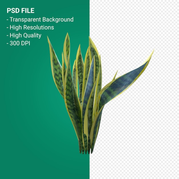 Render 3d de árbol aislado sobre fondo transparente