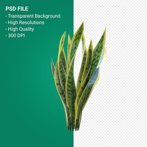 Render 3d de árbol aislado sobre fondo transparente