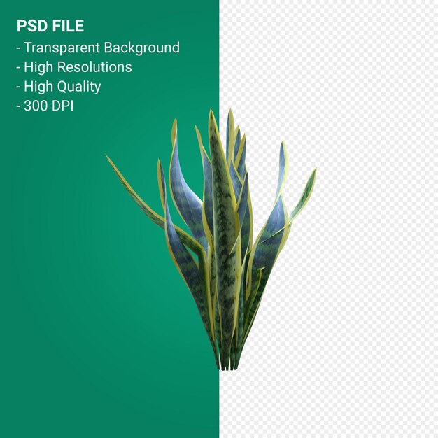 Render 3d de árbol aislado sobre fondo transparente