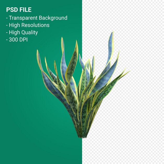 Render 3d de árbol aislado sobre fondo transparente