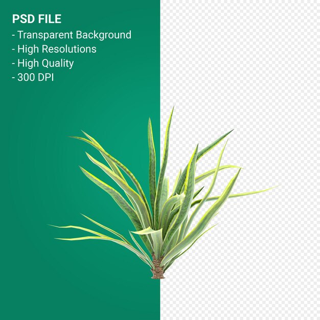 Render 3d de árbol aislado sobre fondo transparente