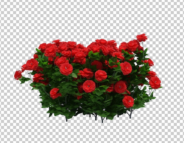 Render 3D de árbol de cepillo con flores aisladas