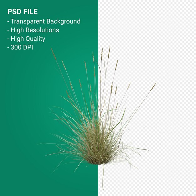 PSD render 3d de árbol de hierba aislado sobre fondo transparente