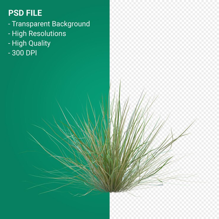 PSD render 3d de árbol de hierba aislado sobre fondo transparente