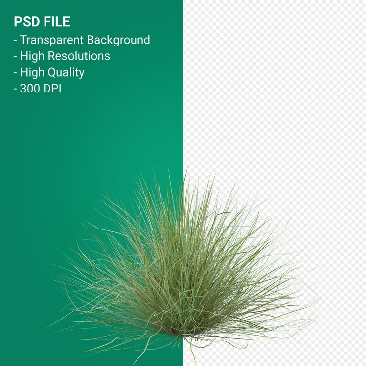 PSD render 3d de árbol de hierba aislado sobre fondo transparente