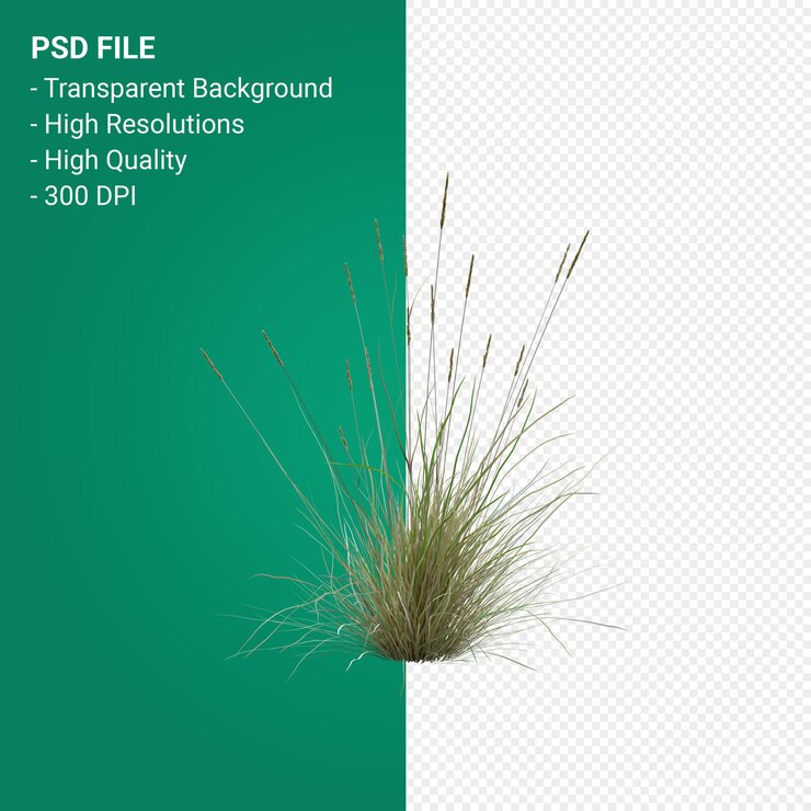 PSD render 3d de árbol de hierba aislado sobre fondo transparente