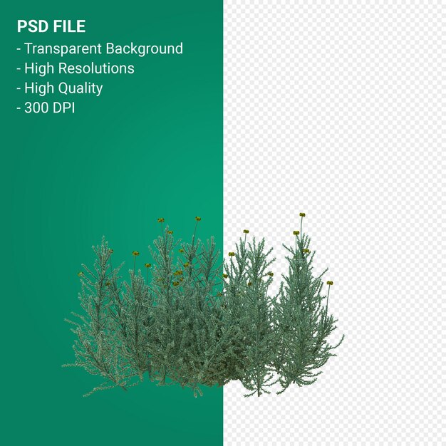 Render 3d de árbol de hierba aislado