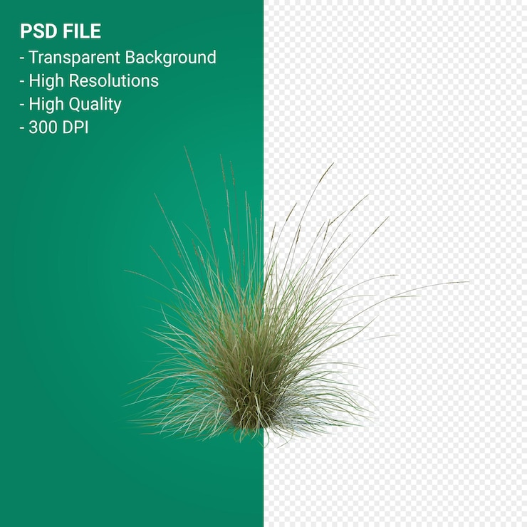 PSD render 3d de árbol de hierba aislado