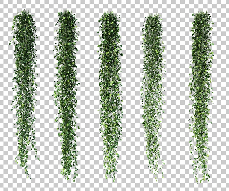 PSD render 3d epipremnum aureum