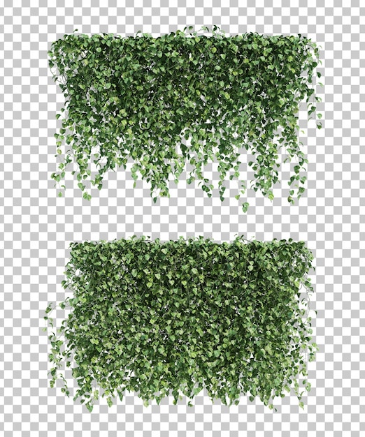 Render 3D Epipremnum aureum