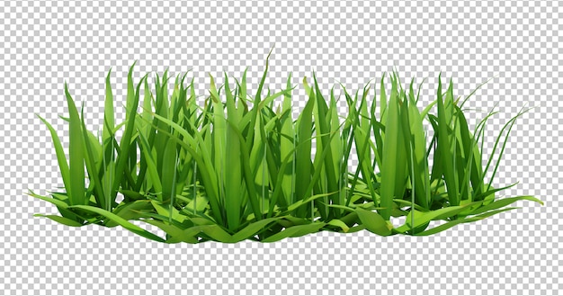 PSD render 3d de hierba verde larga