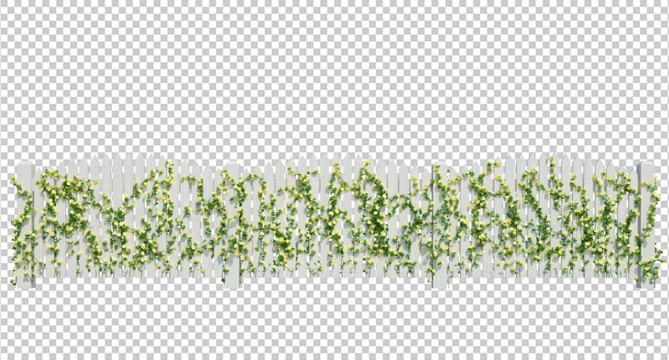 PSD render 3d de plantas de hiedra aisladas