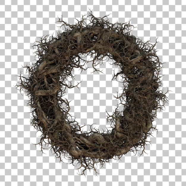 Render 3D rama de árbol alfabeto O