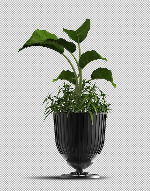 PSD render 3d realista de planta en maceta aislada
