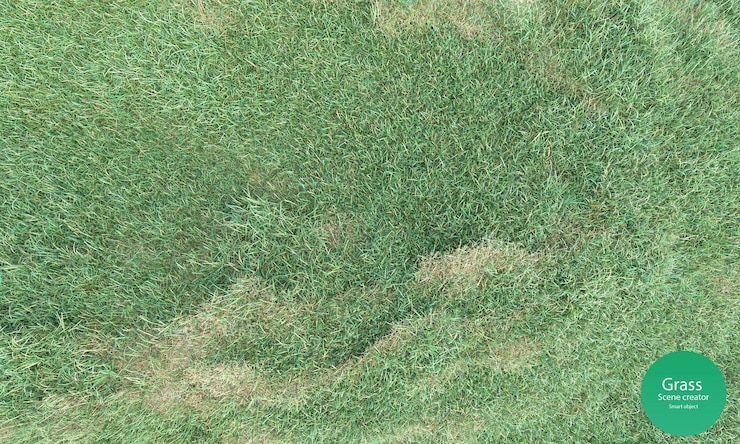 PSD render 3d tampilan atas ladang rumput