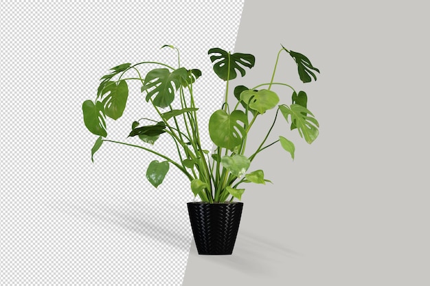 Render de planta isolada em vaso