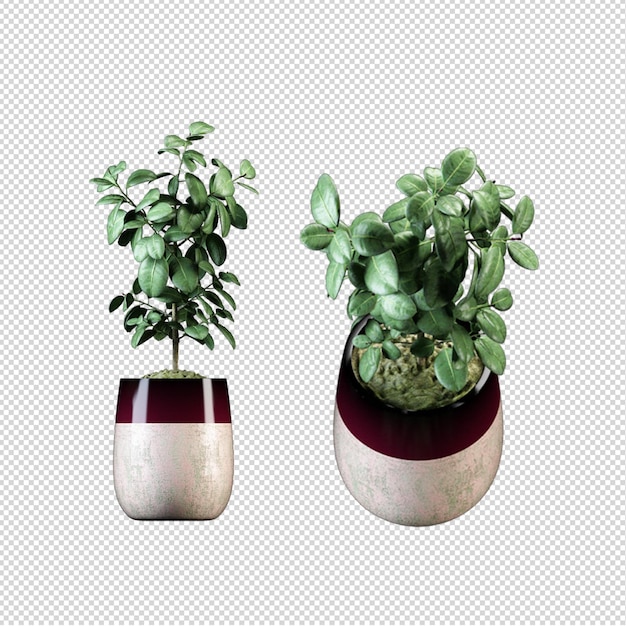 Render de plantas isoladas 3d