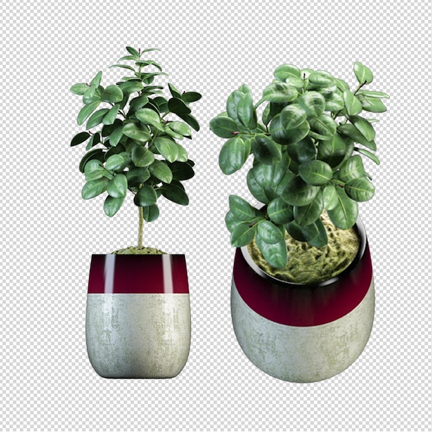 Render de plantas isoladas 3d