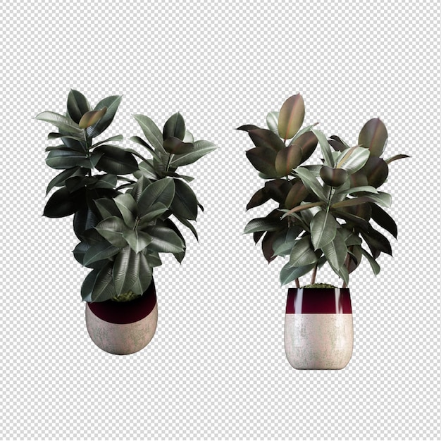 Render de plantas isoladas 3d