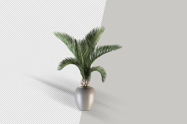 Render der isolierten Pflanze im Topf