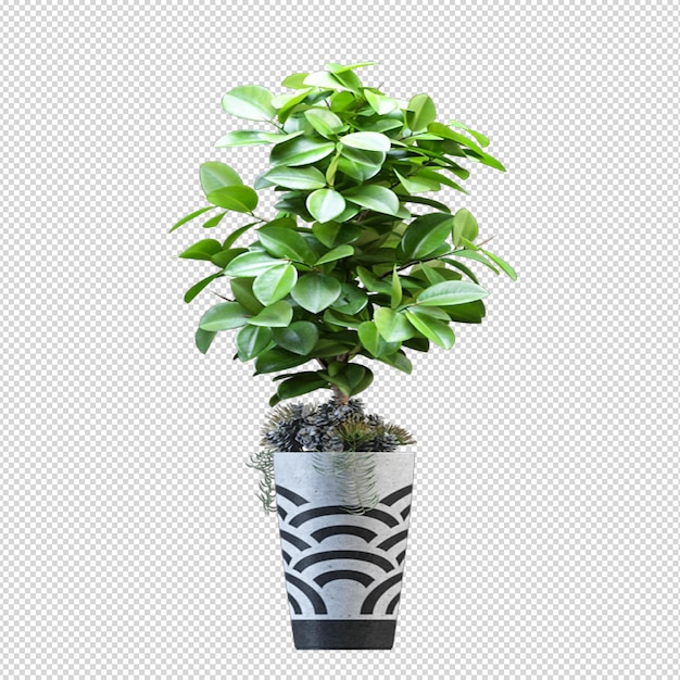 Render isolierter Pflanzenmetalltopf isometrische Vorderansicht transparent