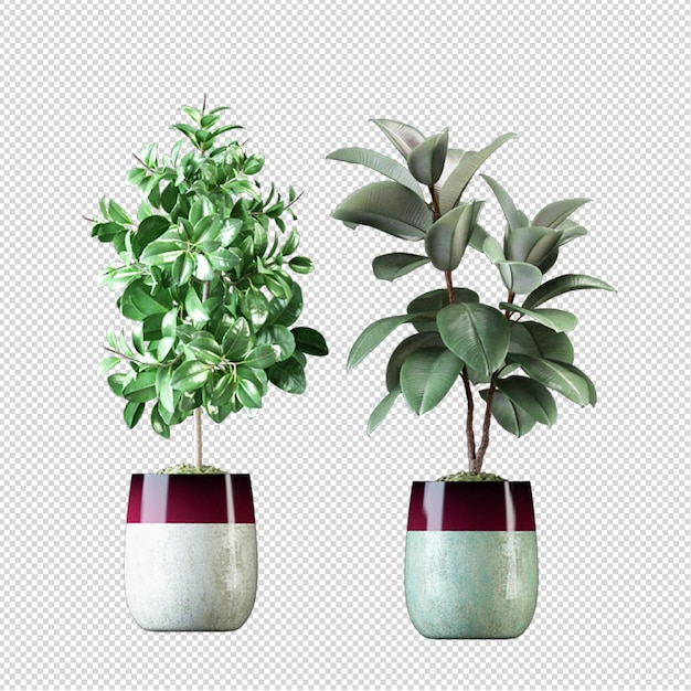 Render of isolated plants 3d