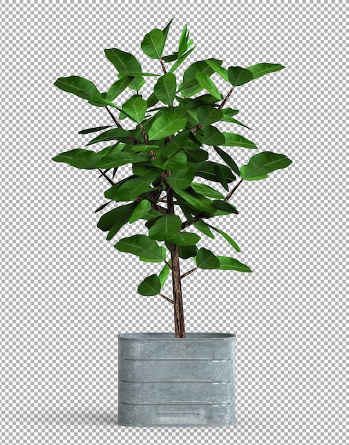 Render de planta aislada en maceta de metal