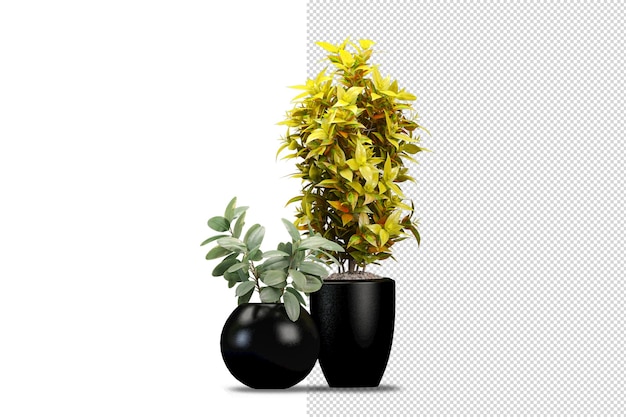 Render de planta aislada olla de metal vista frontal isométrica transparente