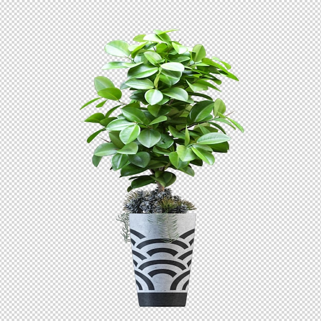 PSD render de planta aislada olla de metal vista frontal isométrica transparente