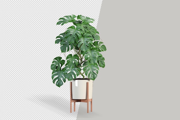 Render de planta aislada
