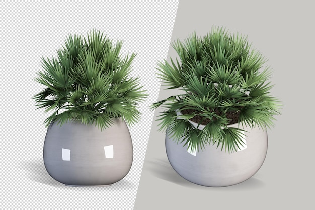 Render de planta aislada