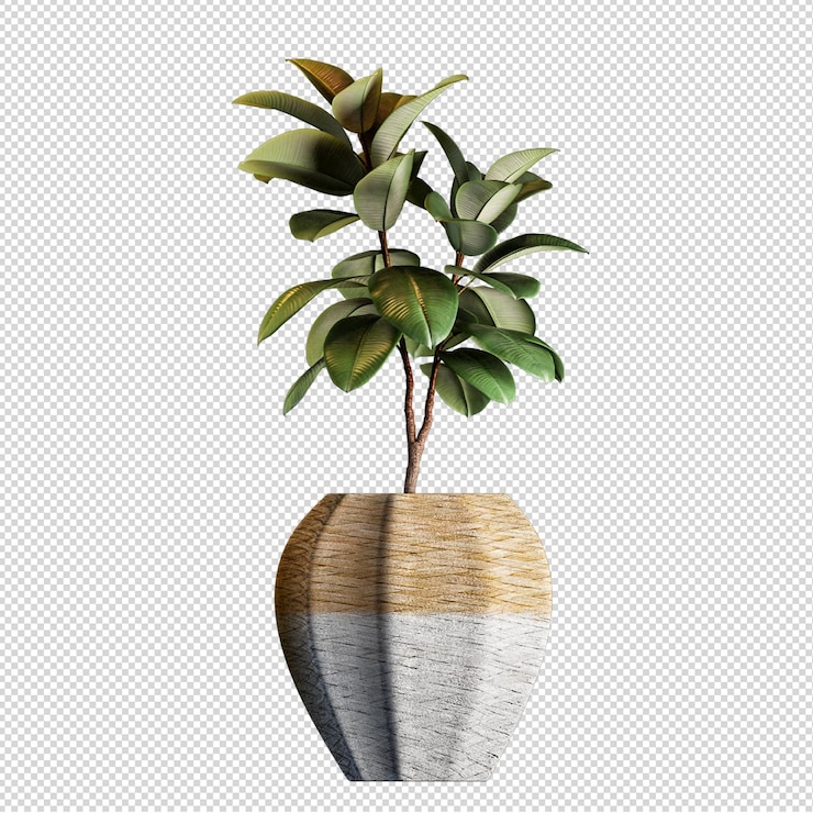 Render de plantas aisladas 3d