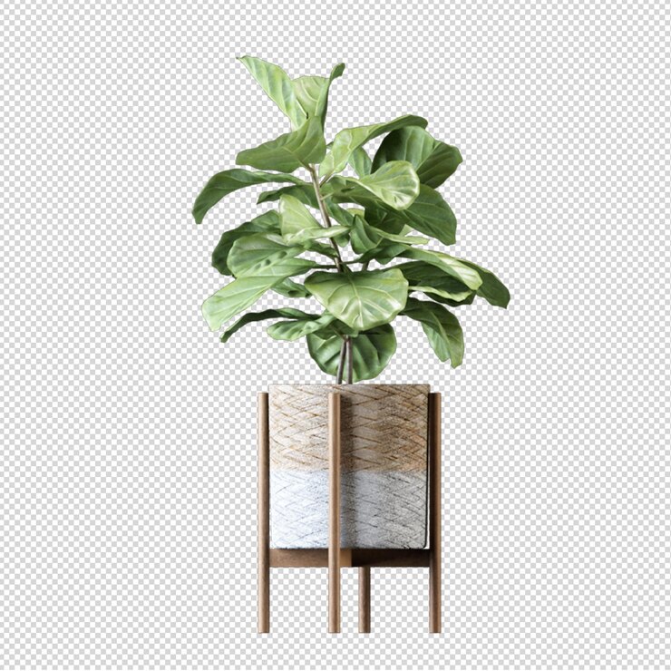 Render de plantas aisladas 3d