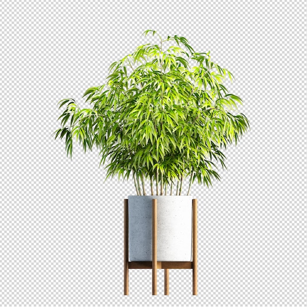 PSD render de plantas aisladas 3d