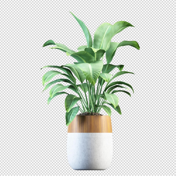 Render de plantas aisladas 3d