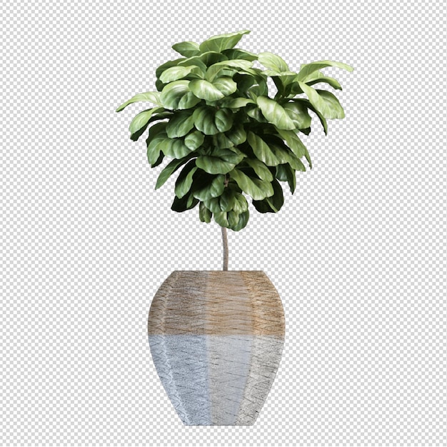 Render von isolierten Pflanzen 3d