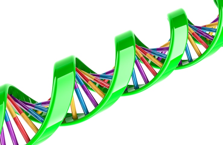 PSD rendering 3d a spirale di dna isolato su sfondo trasparente